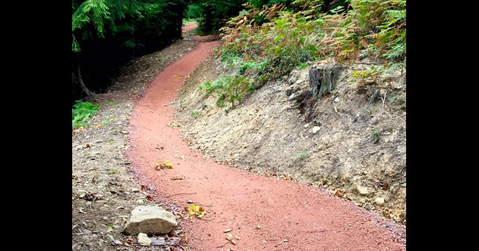 Forestry England upgrades Forest of Dean bike trails