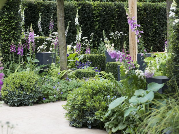 RHS Malvern launches Virtual Spring Festival