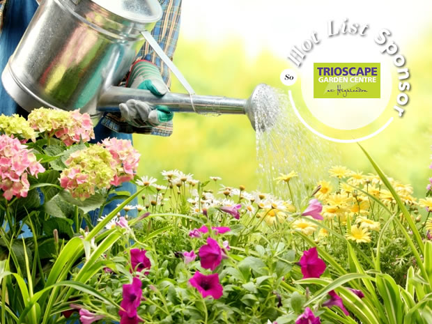 Pick up beginner's gardening tips with the help of Forest of Dean garden centre, Trioscape.