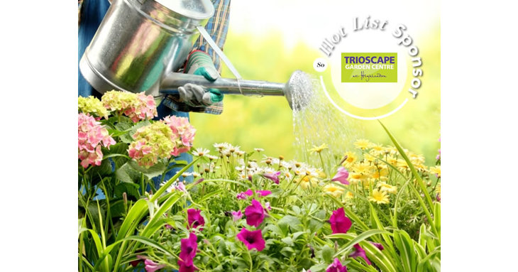Pick up beginner's gardening tips with the help of Forest of Dean garden centre, Trioscape.