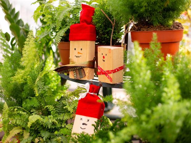 Pick up a Christmas tree, enjoy some seasonal songs and make a festive wreath at The Nursery at Miserden this December.