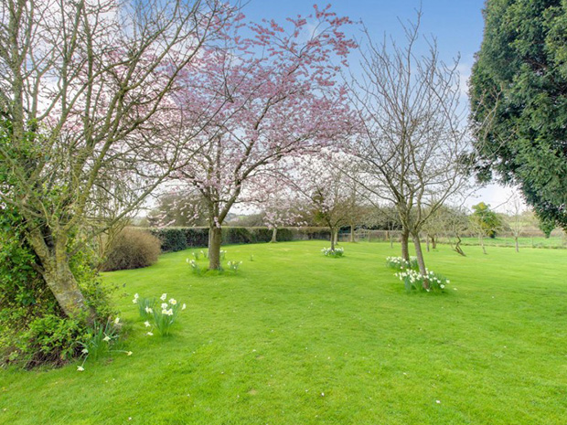 The property boasts two acres of grounds, including a mature orchard and pony-friendly paddock.