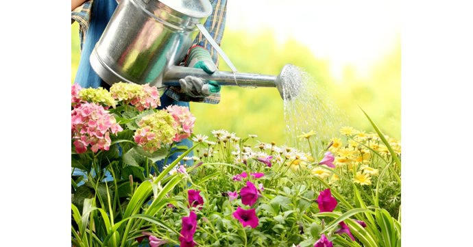Rare Plant Fair at Highnam Court