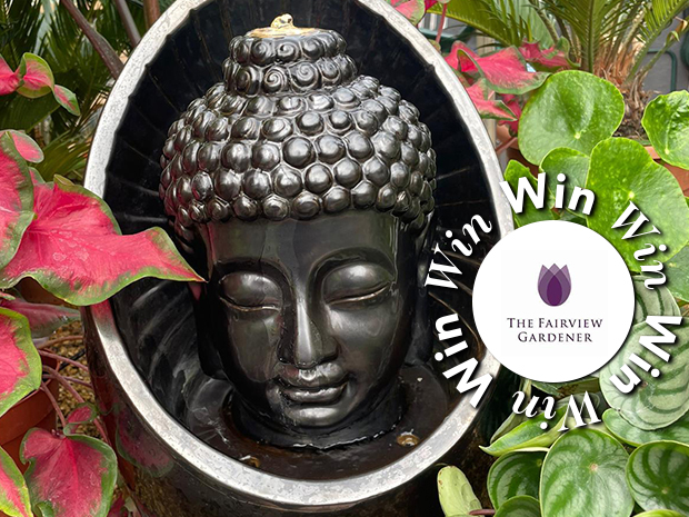 Bring some zen vibes to your garden this summer by winning this Buddha water feature from The Fairview Gardener.