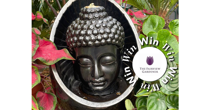 Bring some zen vibes to your garden this summer by winning this Buddha water feature from The Fairview Gardener.