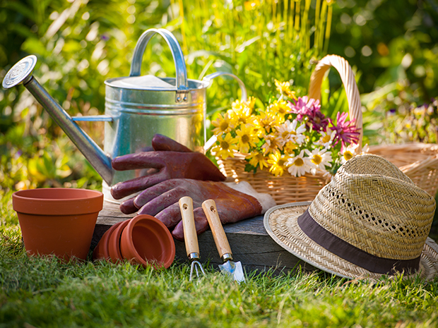 The Fairview Gardener launches new tool shed in time for spring