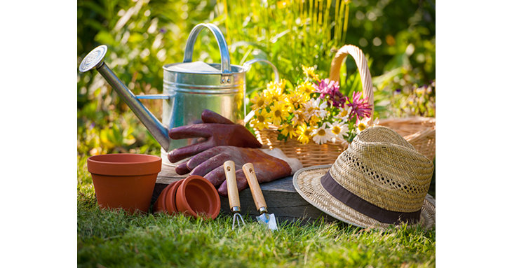 Get your garden looking gorgeous this spring, with the aid of handy gardening gadgets from the new tool shed The Fairview Gardener near Gloucester.
