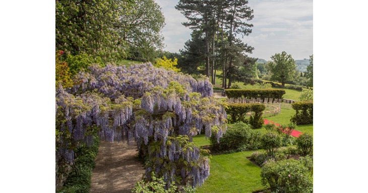 A team of skilled gardeners ensure the gardens are kept in top condition all year round and always looking their best for visitors.