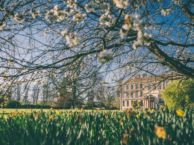 Open Day at Elmore Court 
