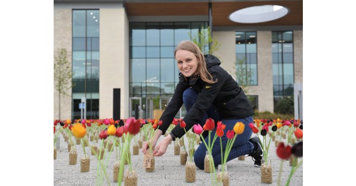Each one of the 4,500 hand-carved wooden tulips in the Garden of Gratitude bears a note from someone naming and thanking a charity close to their heart.