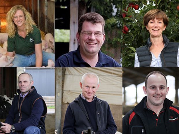 Top (left to right) Sophie Hope, Paul Westaway, Alison Capper; bottom (left to right) Robert Davies, Charlie Whitehouse, Andrew Eastabrook.
