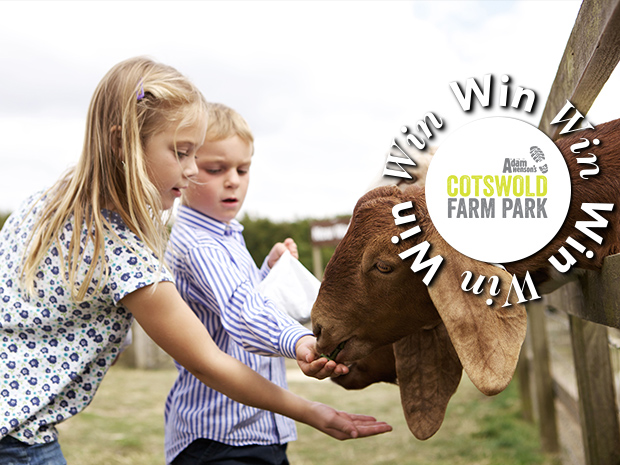 Win one of five family passes to Cotswold Farm Park for a thrilling family day out in the summer holidays.
