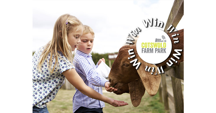 Win one of five family passes to Cotswold Farm Park for a thrilling family day out in the summer holidays.