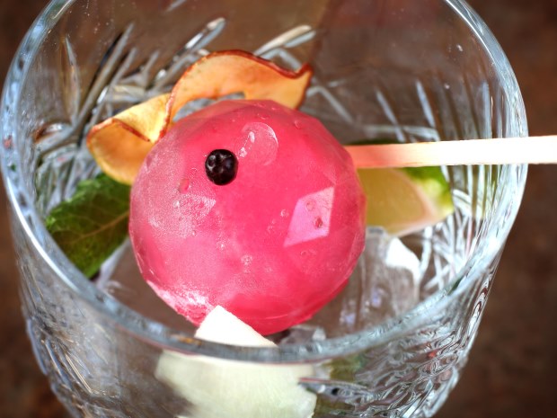 No ordinary gin here. An offering from Cheltenham's Memsahib Gin and Tea Bar, which is launching a Crowdfunding campaign to help re-open post lockdown.