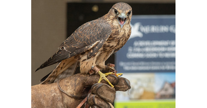 New housing development named after Gloucestershire birds of prey
