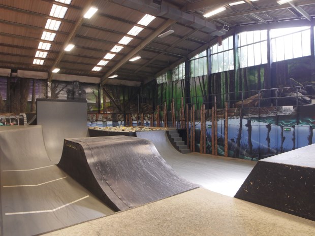 Skatepark’s future in jeopardy following Damien Hirst’s land bid