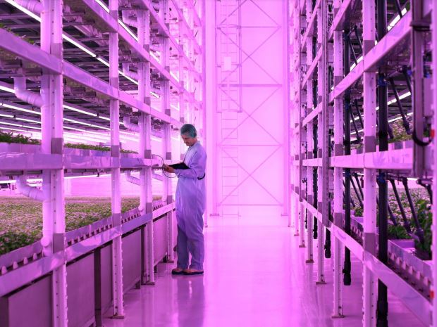 World’s largest vertical farm underlines Gloucestershire’s position as a hotbed of agri-tech