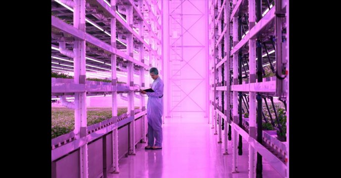 World’s largest vertical farm underlines Gloucestershire’s position as a hotbed of agri-tech