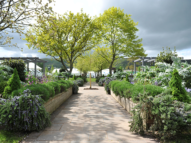 The new Platinum Jubilee garden at Three Counties Showground designed by RHS Malvern show lead Jessica Russell-Perry. Picture by Mikal Ludlow.