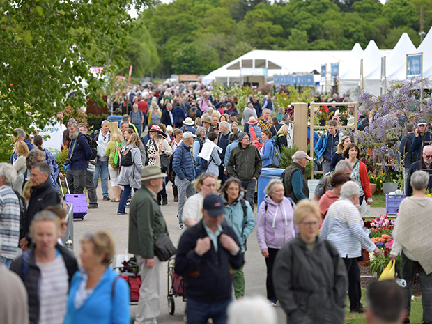 RHS Malvern Spring Festival 2022 returned to Malvern Showground after a two-year break to a huge crowd of 100,000 visitors. Picture by Mikal Ludlow.