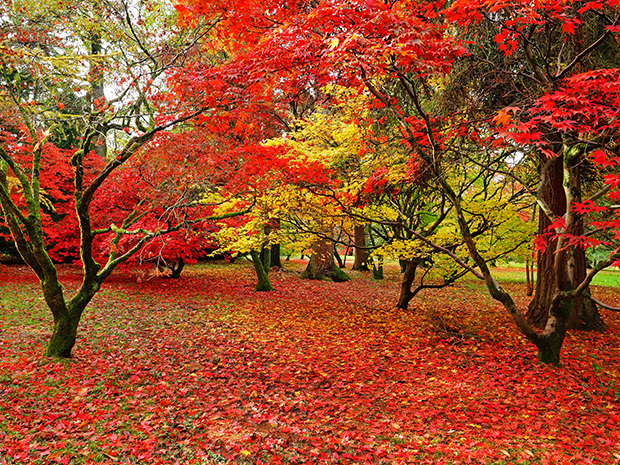 Gloucestershire heritage attractions receiving grants from the Culture Recovery Fund