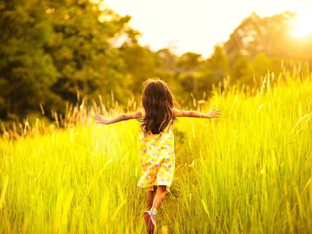 Let your little ones Go Wild at Greystones this Summer.