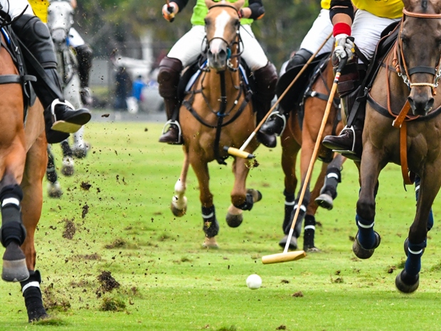 Visitors can expect a thrilling weekend at this years Gloucestershire Festival of Polo this June.