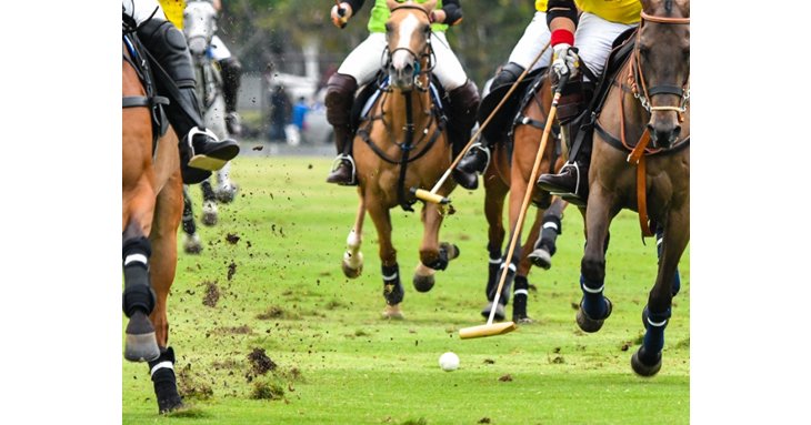 Visitors can expect a thrilling weekend at this years Gloucestershire Festival of Polo this June.