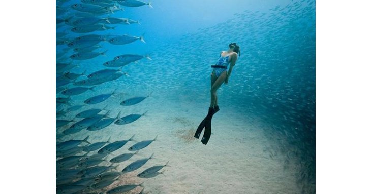 Dive head first into The Ocean Film Festival World Tour to see some of the most incredible short films about the sea.