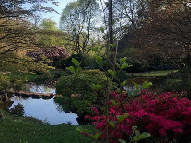 Lydney Park is opening its stunning gardens on Sunday 5 April 2020.