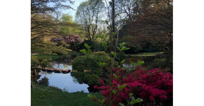 Spring Gardens at Lydney Park