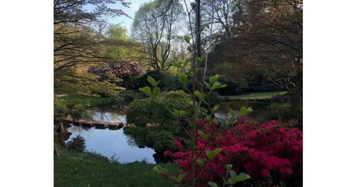 Lydney Park is opening its stunning gardens on Sunday 5 April 2020.