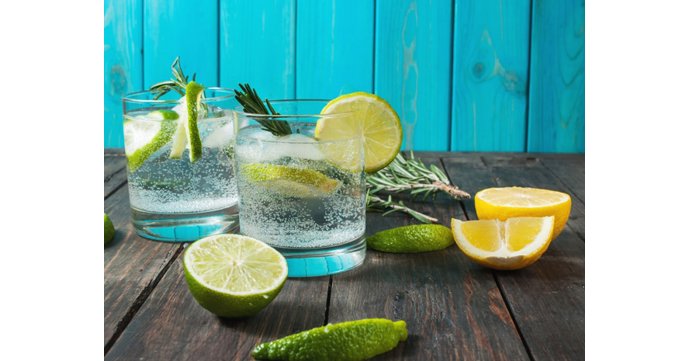 Sibling Gin Tasting Evening at the Bacon Theatre