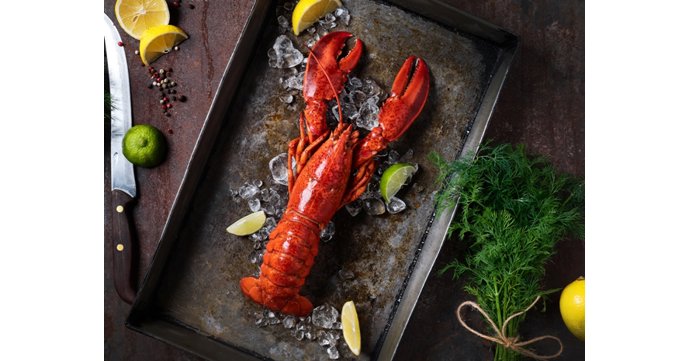 Lobster Night at Purslane Restaurant