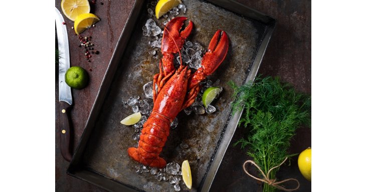 Expect a decadent dining experience at Purslanes Lobster Night.