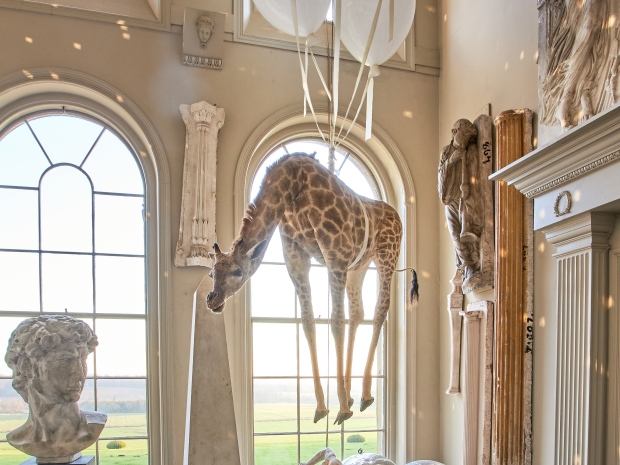 Aynhoe Park is auctioning off its eccentric collection of art, furniture and curiosities in January 2021