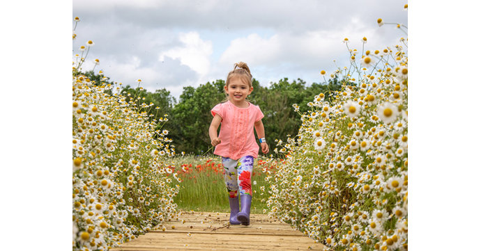 Cotswold Farm Park Flower Field opens for summer