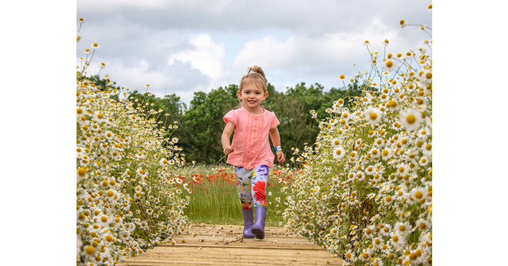 Countryfiles Adam Henson is welcoming visitors to explore a sea of wildflowers this summer at Cotswold Farm Park