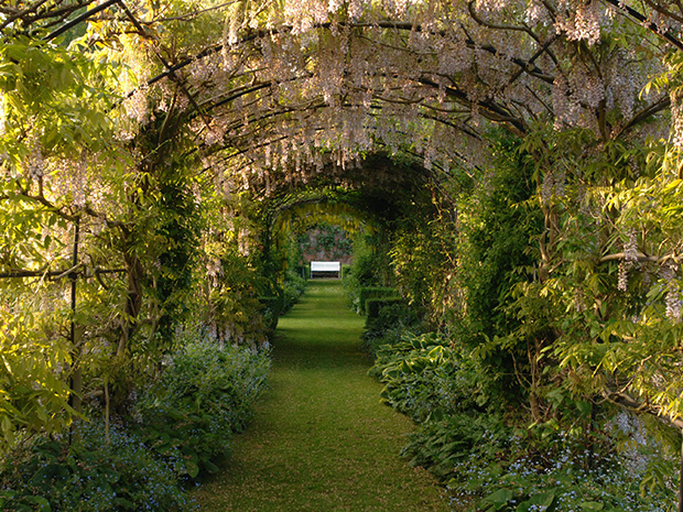 The general public will be able to attend Badminton House's Tulip Day for the very first time this April 2021.