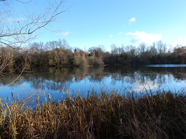 Cotswold Water Park is awarded Site of Special Scientific Interest status