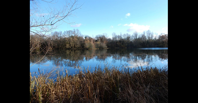 Cotswold Water Park is awarded Site of Special Scientific Interest status
