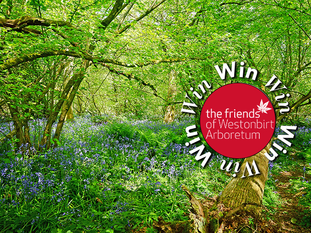 Win a joint annual membership to Friends of Westonbirt Arboretum for two, including free entry and a host of discounts.