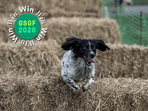  Photo by Red Images Photography. Have all the fun of the Great Shires Game Fair 2020 with this great ticket giveaway.