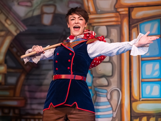 Dick Whittington at The Roses Theatre pantomime review