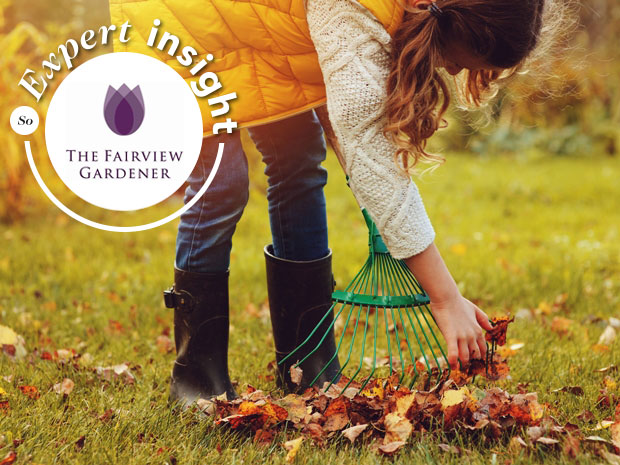 The Fairview Gardener expert insight: How to keep your garden environmentally friendly in the autumn