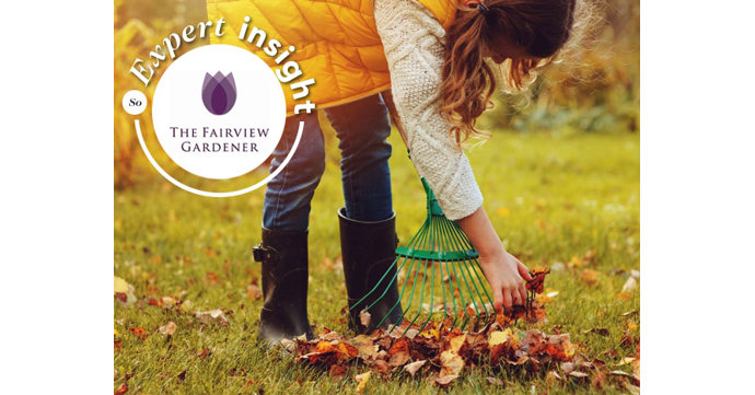 The Fairview Gardener expert insight: How to keep your garden environmentally friendly in the autumn