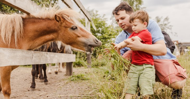 Parent and child feeding a pony at a farm