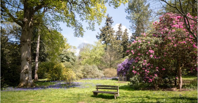 7 reasons why spring is Westonbirt Arboretum’s best-kept secret