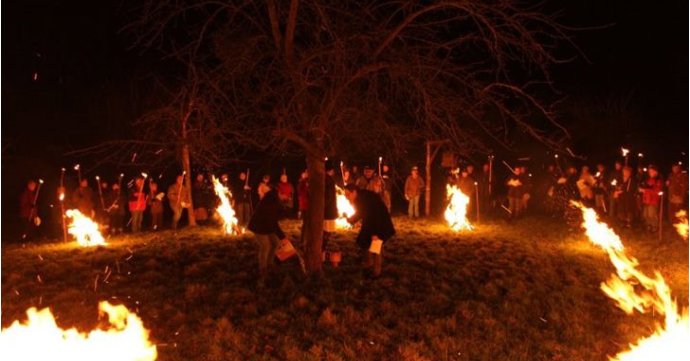 Apple Tree Wassail at The Folk of Gloucester