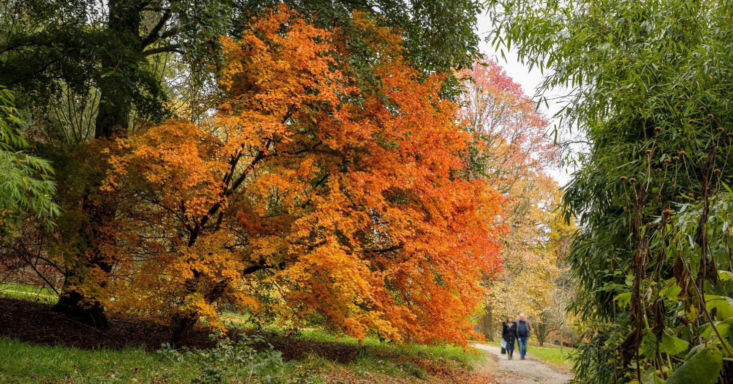 9 best places to see stunning autumn colour in Gloucestershire